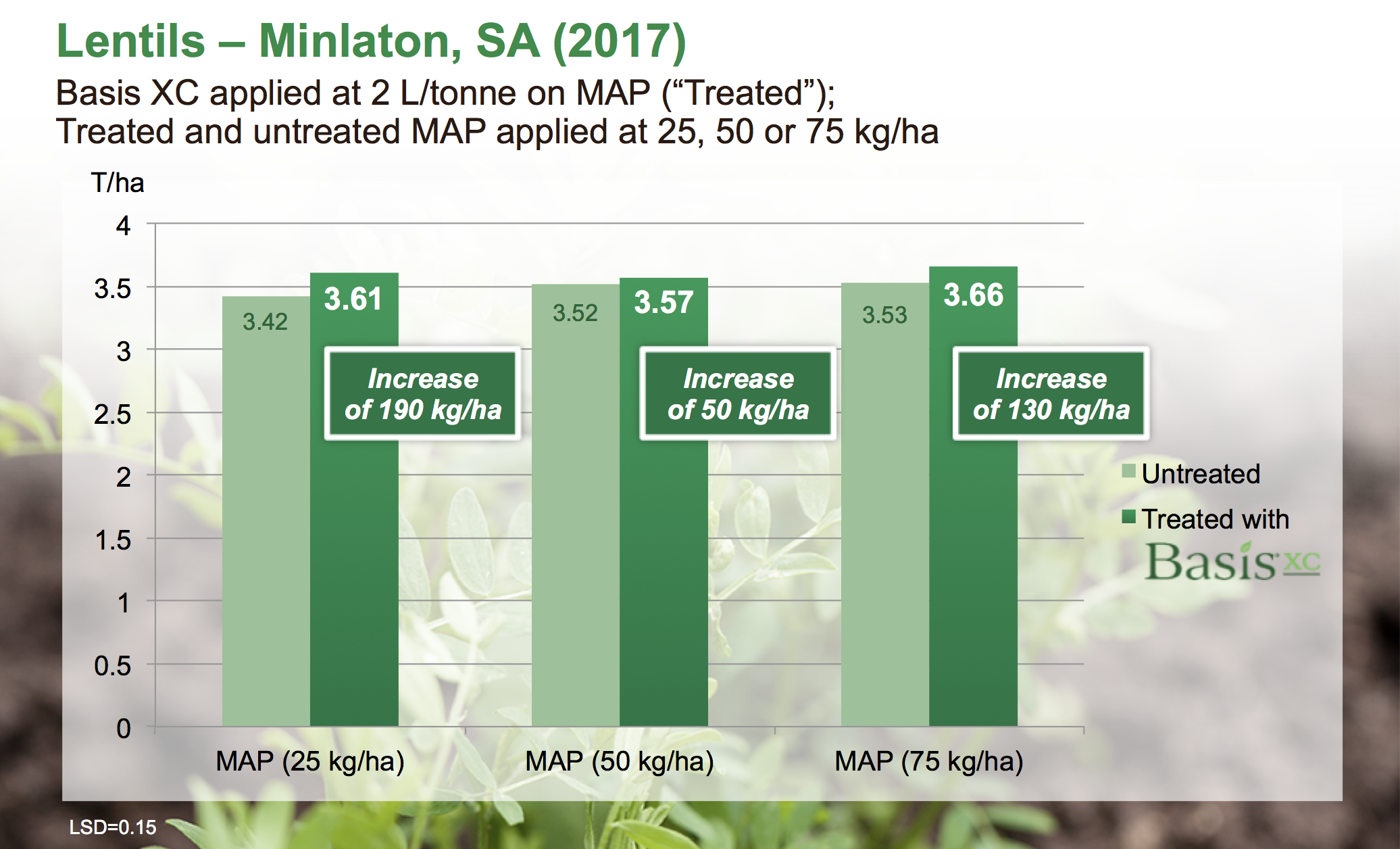 Positive Trend in Lentil Yield with Basis XC on MAP Fertiliser
